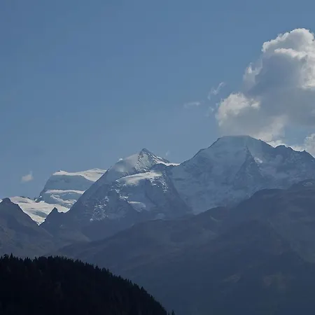 Grandes Jorasses 215 * Verbier